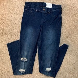 Hue Denim Jeggings